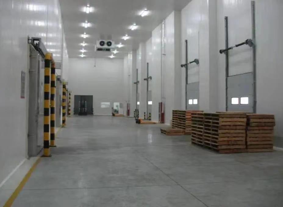 冷庫wms系統(tǒng)如何創(chuàng)新冷庫管理新細胞