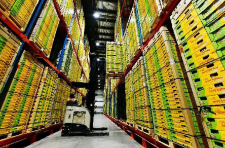 冷鏈倉儲系統(tǒng)的上架策略有哪些？